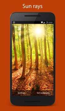 Forest Live Wallpaper screenshot 2