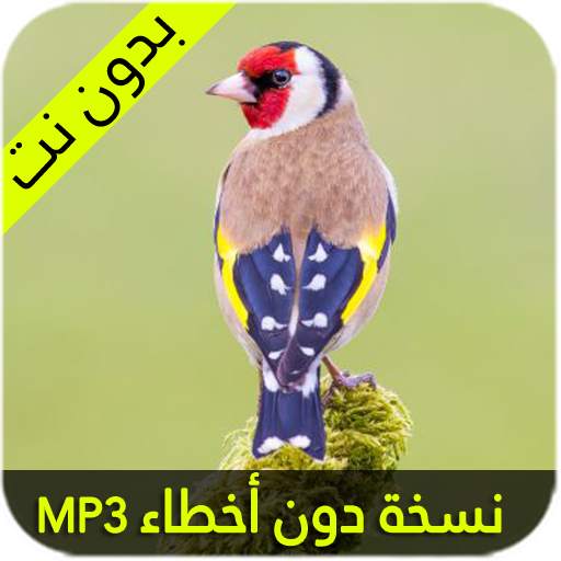 الحان الحسون 2020 1.2.2