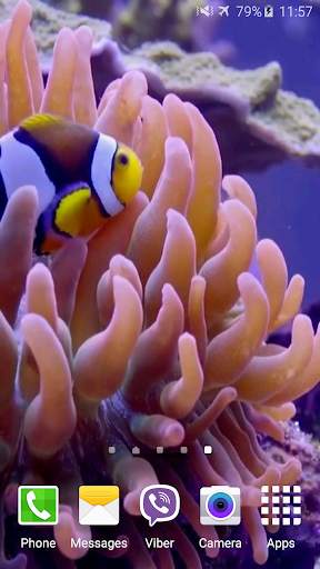 Aquarium Video Live Wallpaper screenshot 2