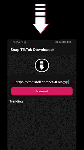 SnapTik Downloader  فيدوات تيك بلا علامة 2021 screenshot 4