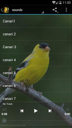Canary Bird Sounds 2017 screenshot 1