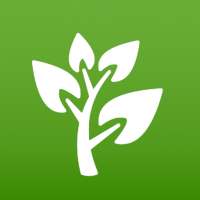 Plantas Medicinales y Remedios on 9Apps