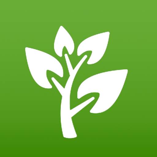 Medicinal Plants & Remedies 1.56.272