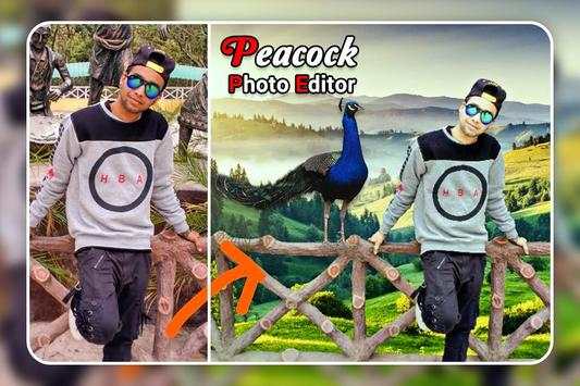 Peacock Photo Editor screenshot 2