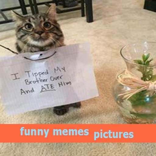 funny memes pictures 4.0.0