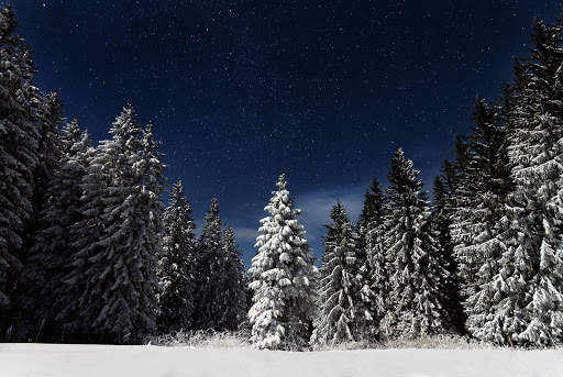Winter Wallpapers | hd backgrounds screenshot 13