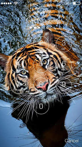 Tiger Screen Lock 3 تصوير الشاشة