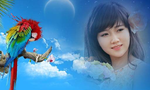 Birds Mulit Photo Frame screenshot 1