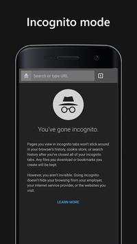 Private Browser screenshot 3