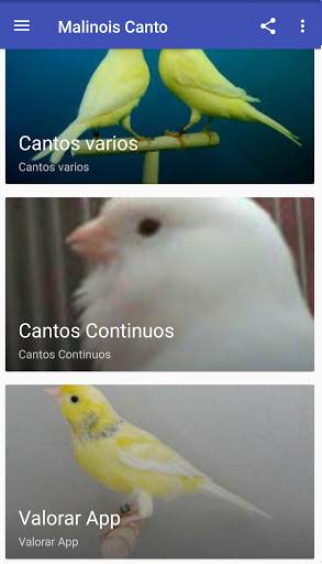 Canario Malinois Canto скриншот 2