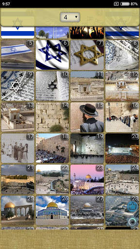 Israel WVGA Wallpaper screenshot 3
