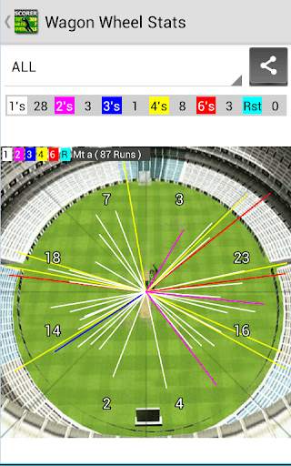 Best Cricket Scorer FREE screenshot 7