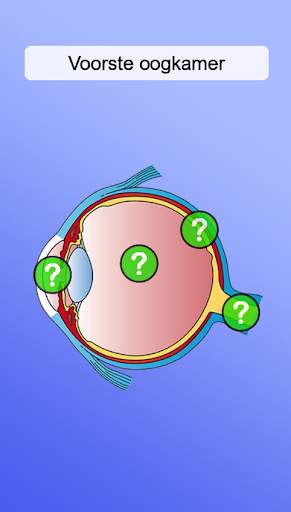 Anatomie screenshot 4