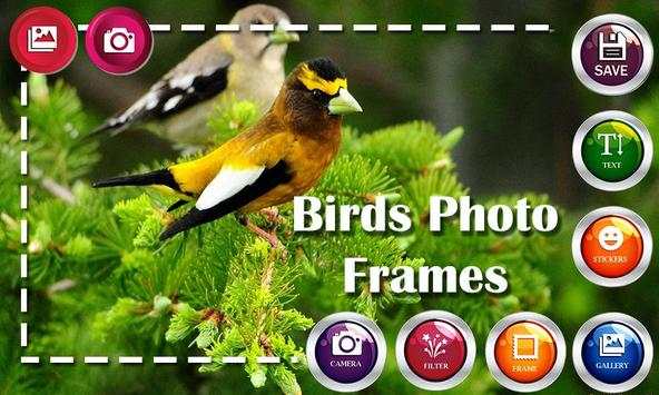 Birds HD Photo Frames and Live Wallpapers screenshot 9