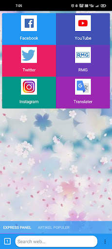 Smart Browser screenshot 1