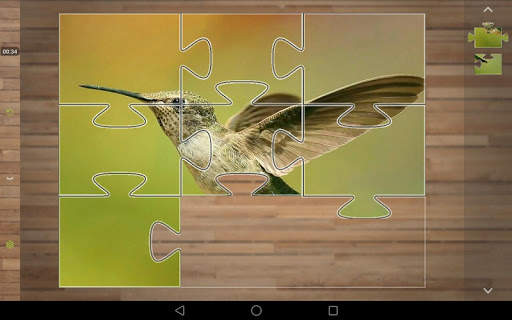 Bird Puzzle Games screenshot 8