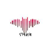 V Music