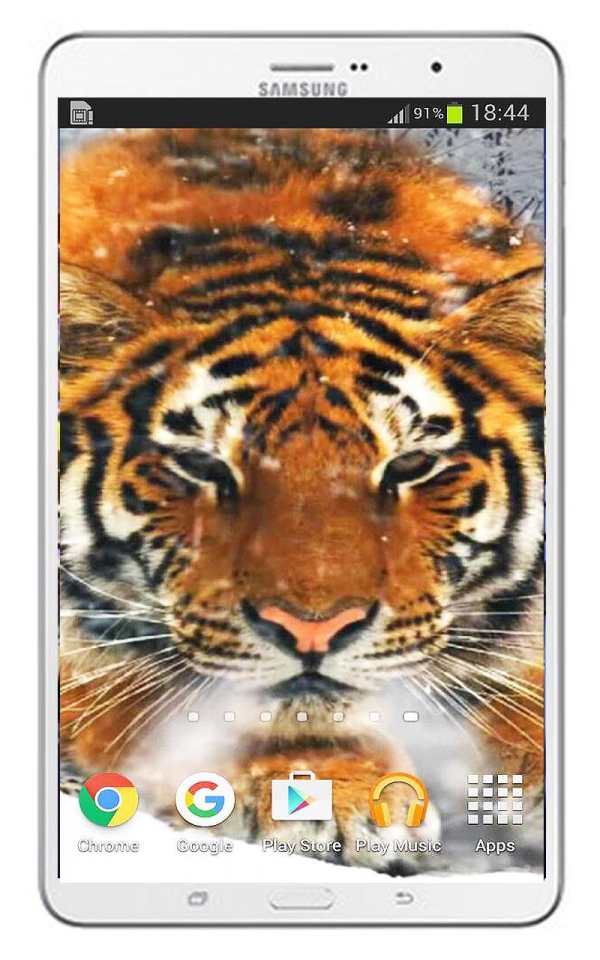 Tiger Live Wallpaper screenshot 5