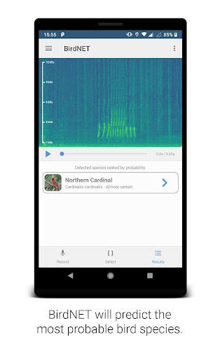 BirdNET screenshot 3
