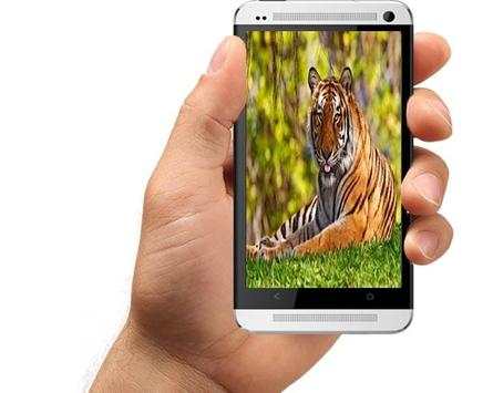 3D tiger wallpaper screenshot 4