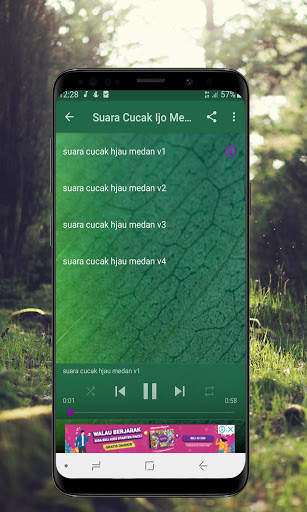 Kicau Cucak Ijo Gacor - Offline screenshot 2