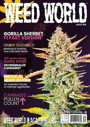 Weed World Magazine screenshot 1