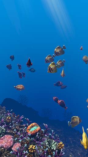 OCEAN AQUARIUM Live Wallpaper FREE screenshot 23