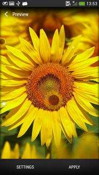 Sunflower Live Wallpaper screenshot 1