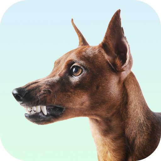 Dog Growling Sounds 1.0