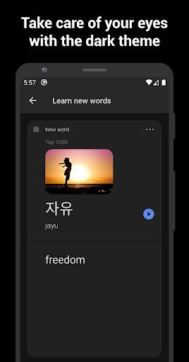 Learn Korean with flashcards! 5 تصوير الشاشة