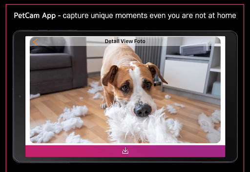 PetCam App - Dog Camera App screenshot 6