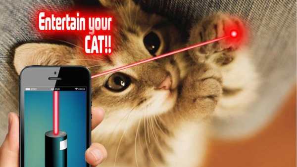 Laser Pointer: Cat Edition screenshot 2