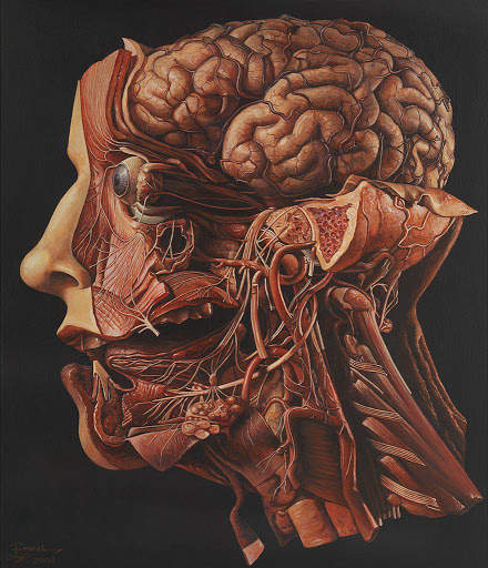 Learn Human Organs Works screenshot 3