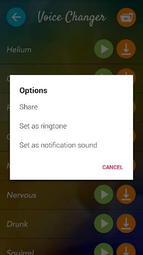 Voice Changer Studio screenshot 4