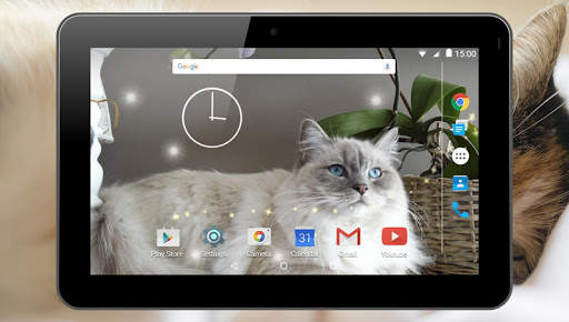 Cats Live Wallpaper screenshot 9