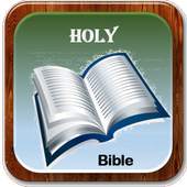 GOOD NEWS BIBLE 15