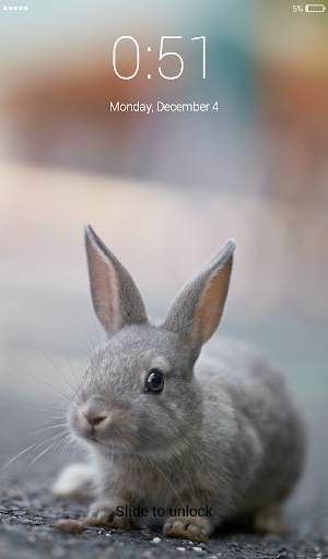 Rabbit run Lock Screen Wallpaper 4 تصوير الشاشة