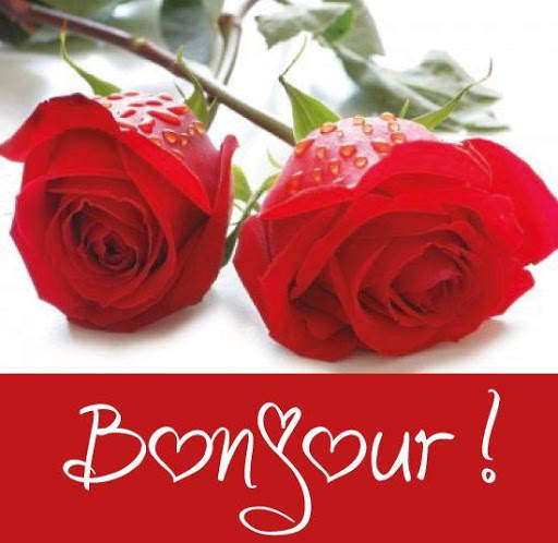Carte de voeux photo! screenshot 9