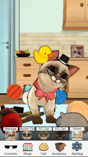 마쵸 고양이 :애완 고양이 시뮬레이터 screenshot 3