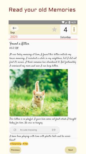 My Secret Diary with Lock screenshot 8