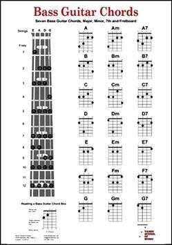 Bass Chords and Scales screenshot 3
