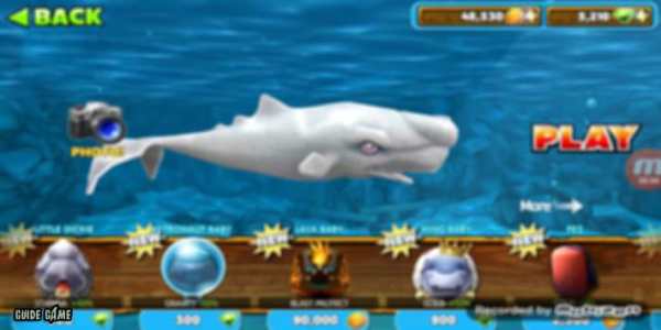 Guide Hungry Shark Evolution screenshot 2