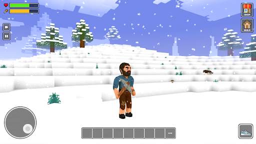 Craft World: Mini Block Craft screenshot 4