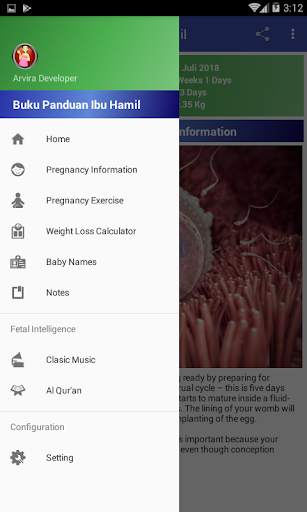 Pregnancy Guide screenshot 2