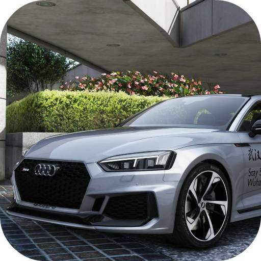 Drive Audi RS5 - City & Parking 5.3