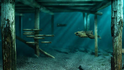 Kind of Fishy Aquarium screenshot 7