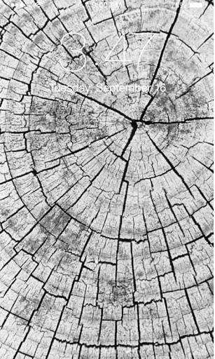 Wood Wallpaper screenshot 5