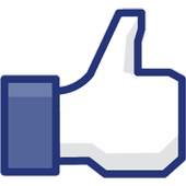 FaceBook Page Likes Widget 1.0.1