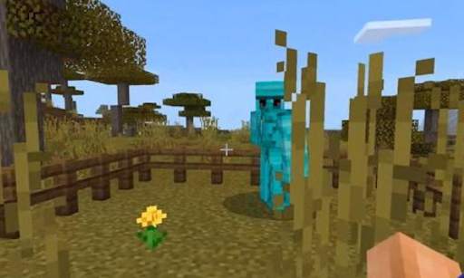 Bedrock Plus Mod MC Pocket Edition screenshot 3