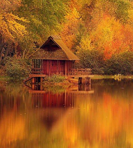 Autumn Wallpapers 6 تصوير الشاشة